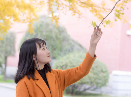 菲律宾籍华人旅游人数有多少(华人旅游人数分享)